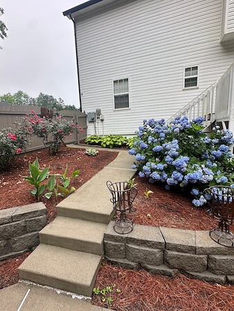 Boost Your Home’s Curb Appeal Before Summer Gatherings
