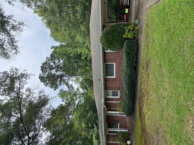 Expert Roof Cleaning performed in Bremen Georgia