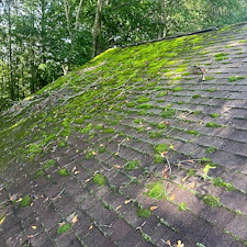 Roof-Cleaning-Prevents-Homeowners-Insurance-Cancellation-in-Bremen-Georgia 5