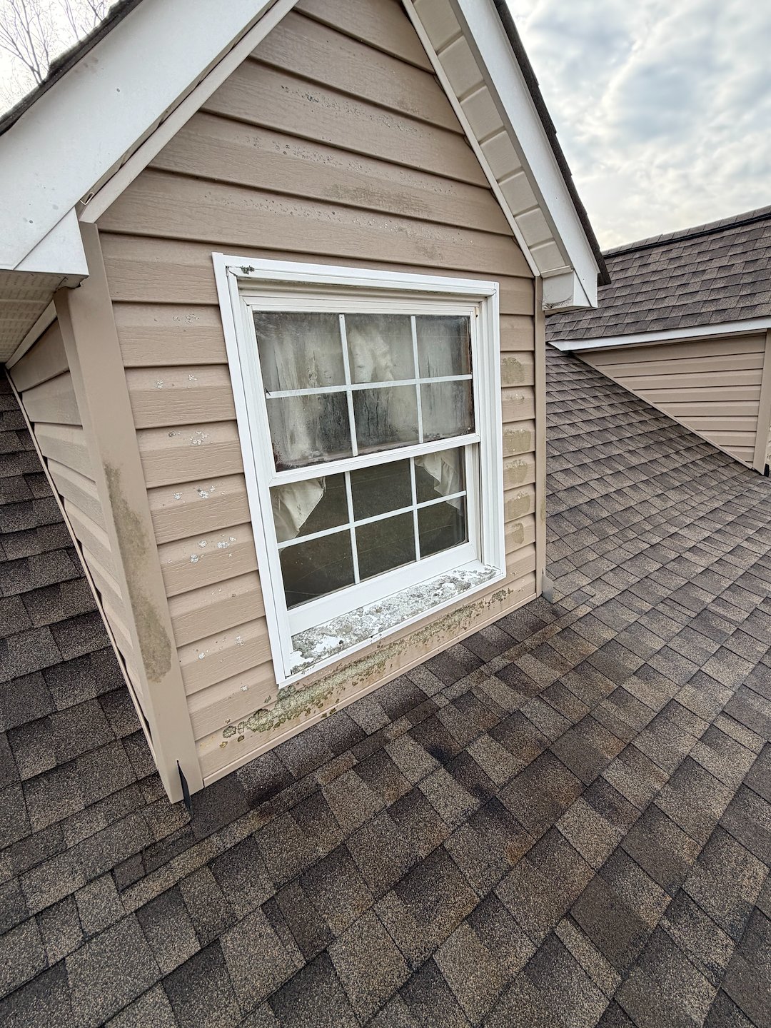 SOFTWASHING AND EXTERIOR RESTORATION IN ROME GA